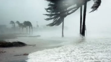 ظاهرة النينو تُلقي بظلالها على مصر: هل نشهد الشتاء الأبرد منذ 10 سنوات ؟ (توضيحات من الأرصاد)