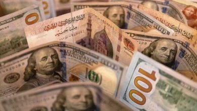 هل يُتوقع تحسن وضع الجنيه المصري مقابل الدولار في عام 2024؟