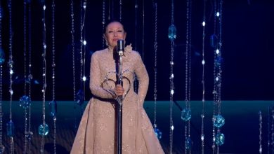 نجاة الصغيرة تعود للتألق بعد غياب سنوات في حفل "Joy Awards".