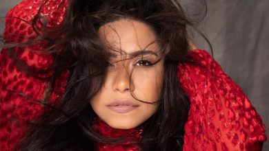 إحالة الفنانة شيرين عبد الوهاب إلى المحكمة الجنائية لمحاكمتها.