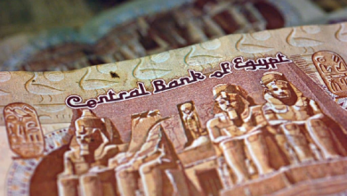 سياسات تحديد سعر الصرف وتأثيرها على الاقتصاد: تعويم العملة وآثاره الإيجابية والسلبية